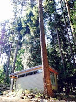 Nectar Yoga B&B On Bowen Island 호스슈 베이 외부 사진